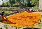 This time Hurriyare will play Holi with saffron gulal in the capital