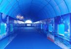 A world of fishes like the Dubai Mall will be seen in the fair.