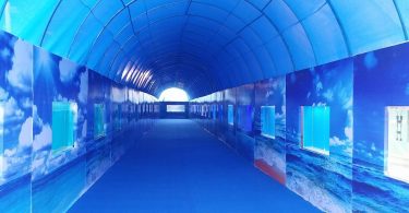 A world of fishes like the Dubai Mall will be seen in the fair.