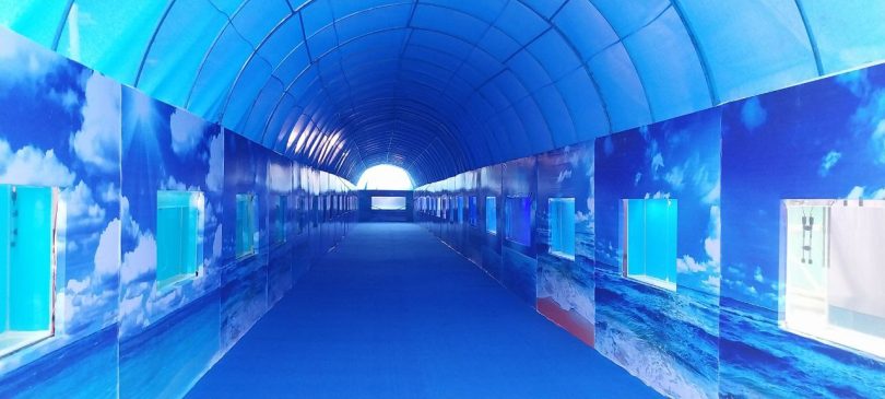 A world of fishes like the Dubai Mall will be seen in the fair.